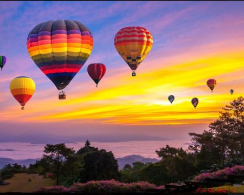 WhatsApp Image 2025-11-10 at 11.11.34 AM