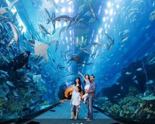 WhatsApp Image 2025-11-10 at 11.12.29 AM